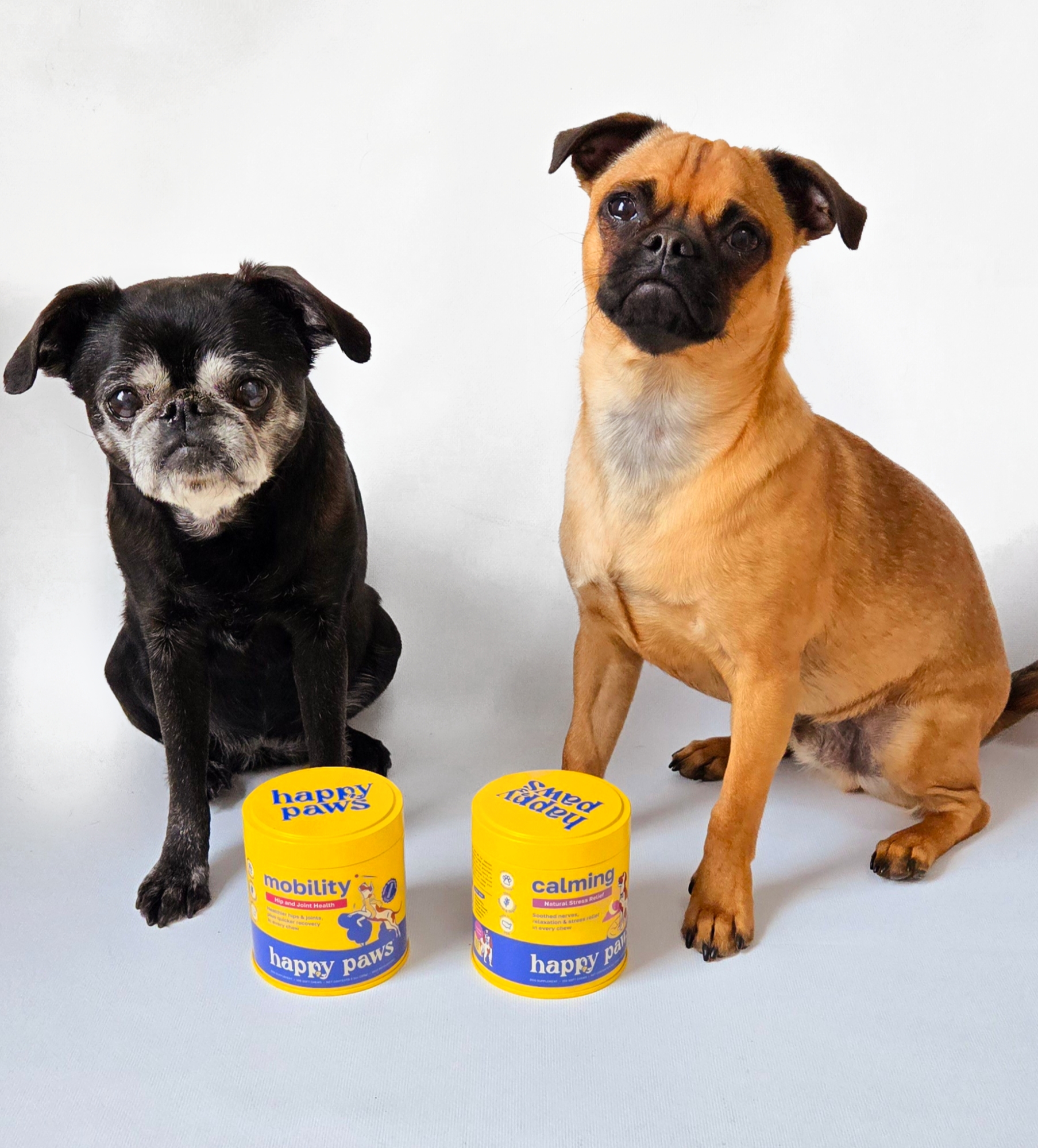 Happy Paws Product Review: Our Honest Experience