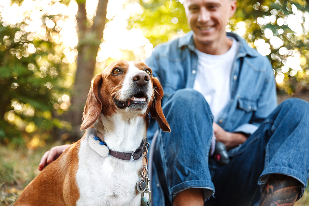 man and his dog sitting outside amongst trees before taking a road trip with your dog