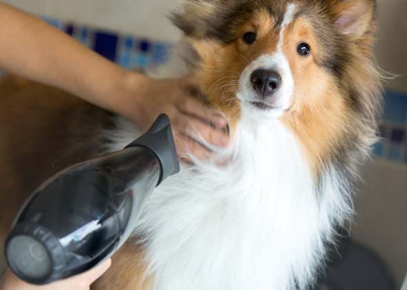 Don't use a hot blow-dryer.