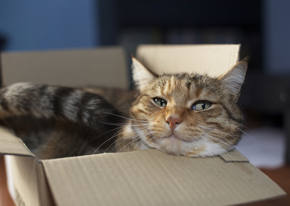 Loves Boxes and Other Small Spaces
