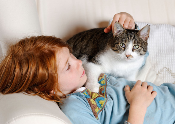 Pay attention to your cat’s body language.