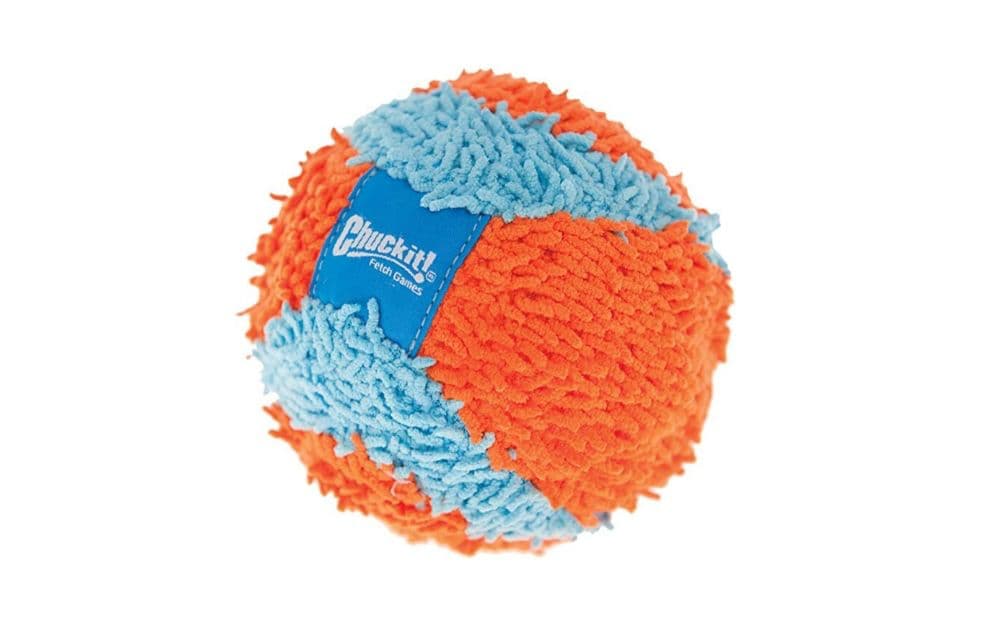 ChuckIt dog ball