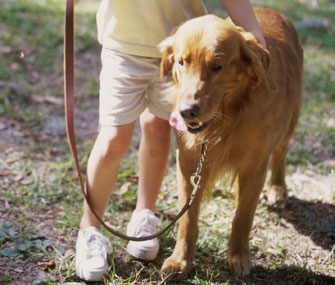Kid and Dog