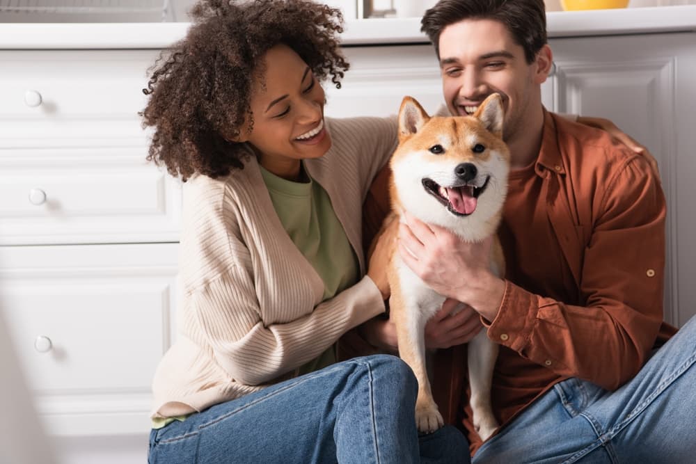 Couple in kitchen with their dog smiling because they have dog-proof trash cans