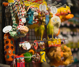 Dog Toys