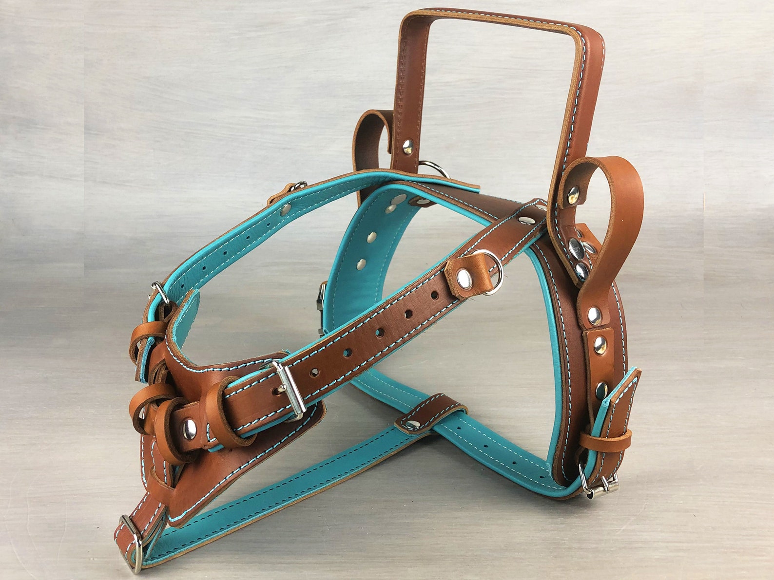 Yup Collars Custom Leather Dog Harness