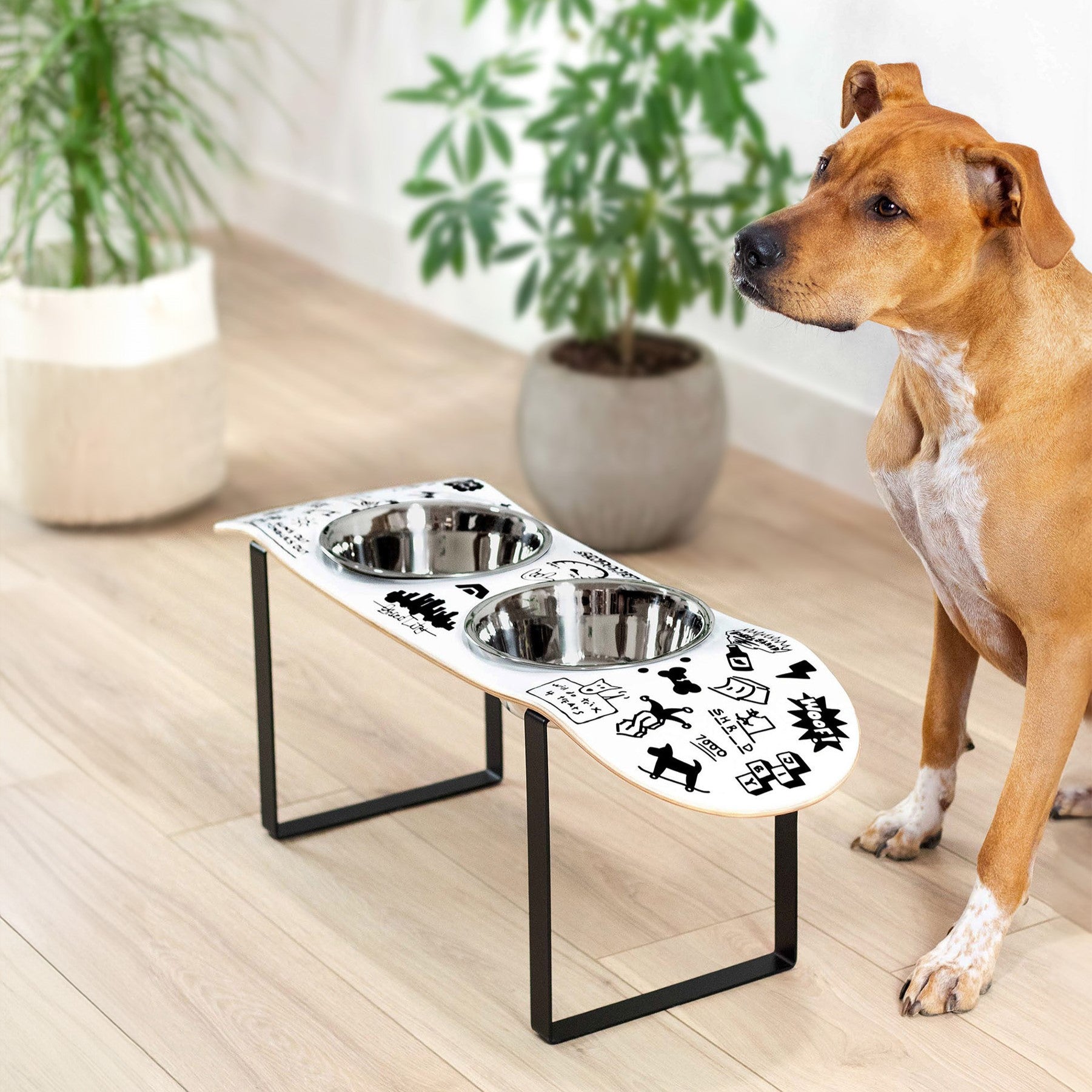 Elevated dog bowl from JIBY