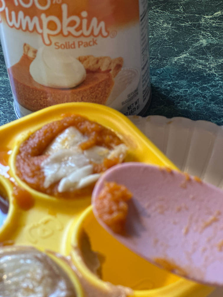 pumpkin and banana puree inside a pupsicle treat tray