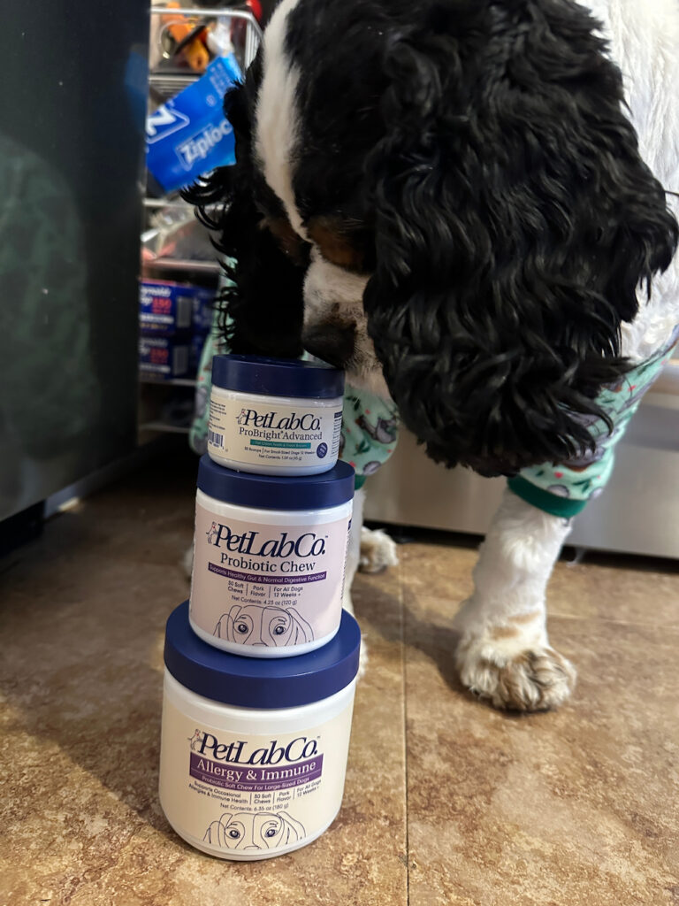cocker spaniel dog sniffing stack of petlab co tubs of supplements