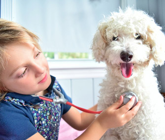Kid pretending to examine dog