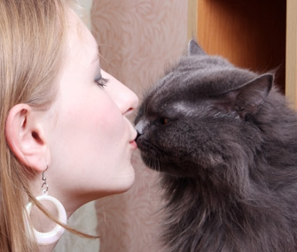 Kissing Cat