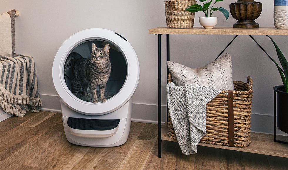 dog-proof litter boxes