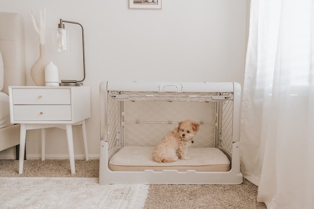 Modern Dog Crates: 9 Stylish Safe Havens Pups (and Parents) Will Love