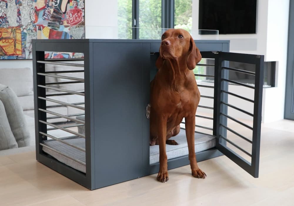 Best Dog Crate Furniture of 2025
