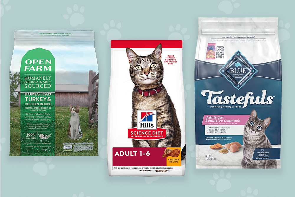 14 Best Cat Foods Approved By Vets in 2025