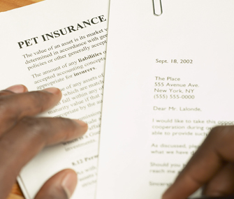Pet insurance