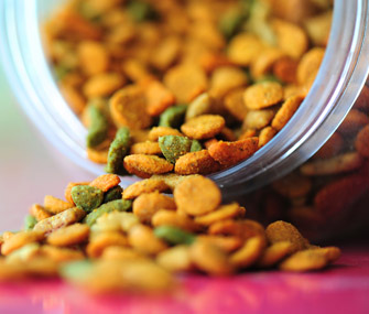 A close up view of pet food pouring out of a container