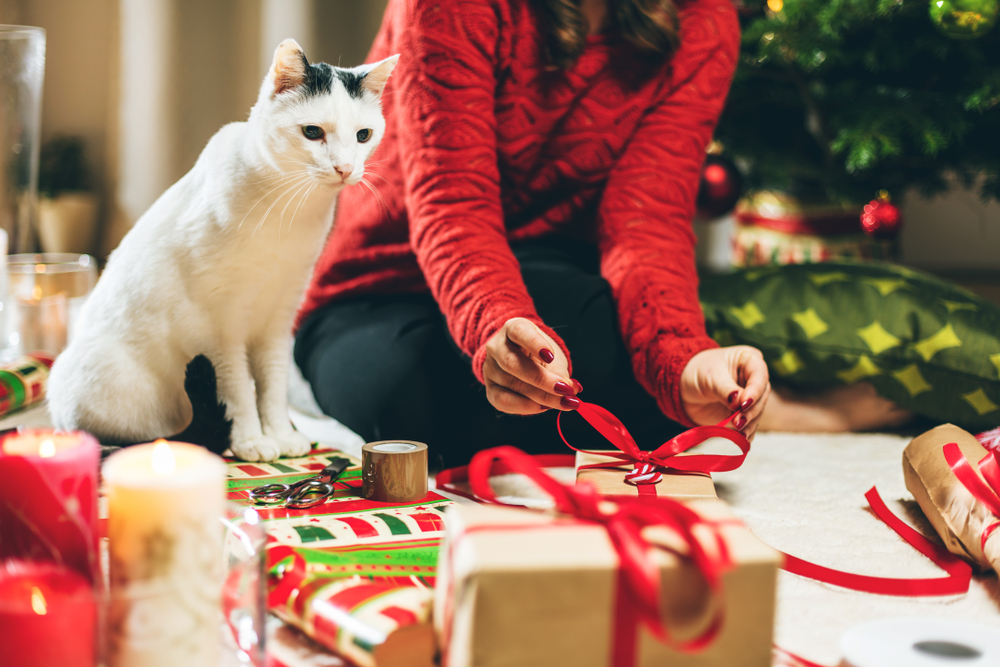 12 Best Cat Lovers' Gifts for Giving in 2025