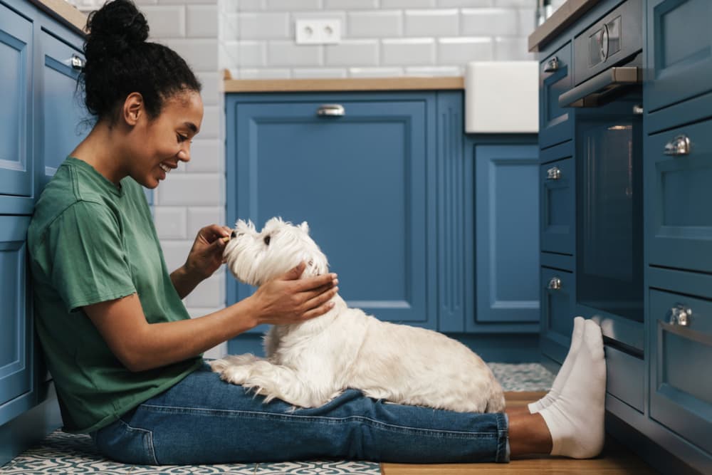 Dog Skin and Coat Supplements: 14 Top Options for Itchy Pups