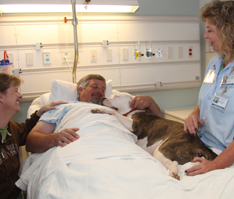 therapy dog in hospital bed with patient