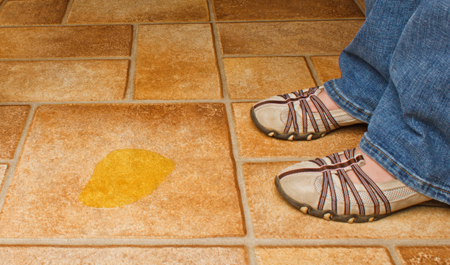 Urine Marking