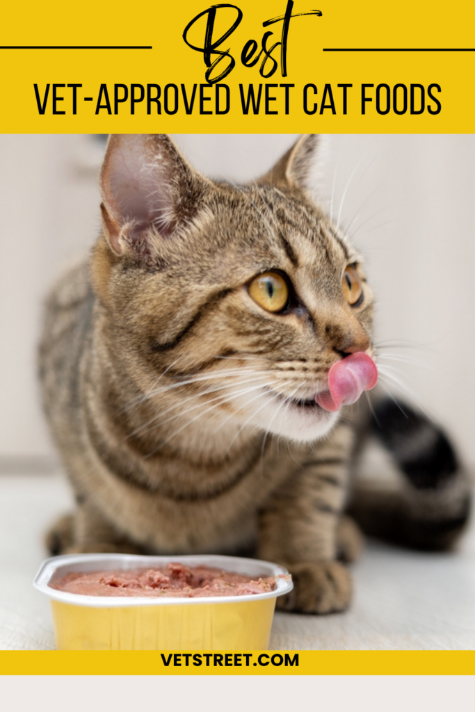 best vet approved wet cat foods